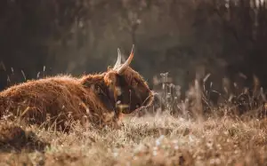 Jak Ukončit Povinné Ručení